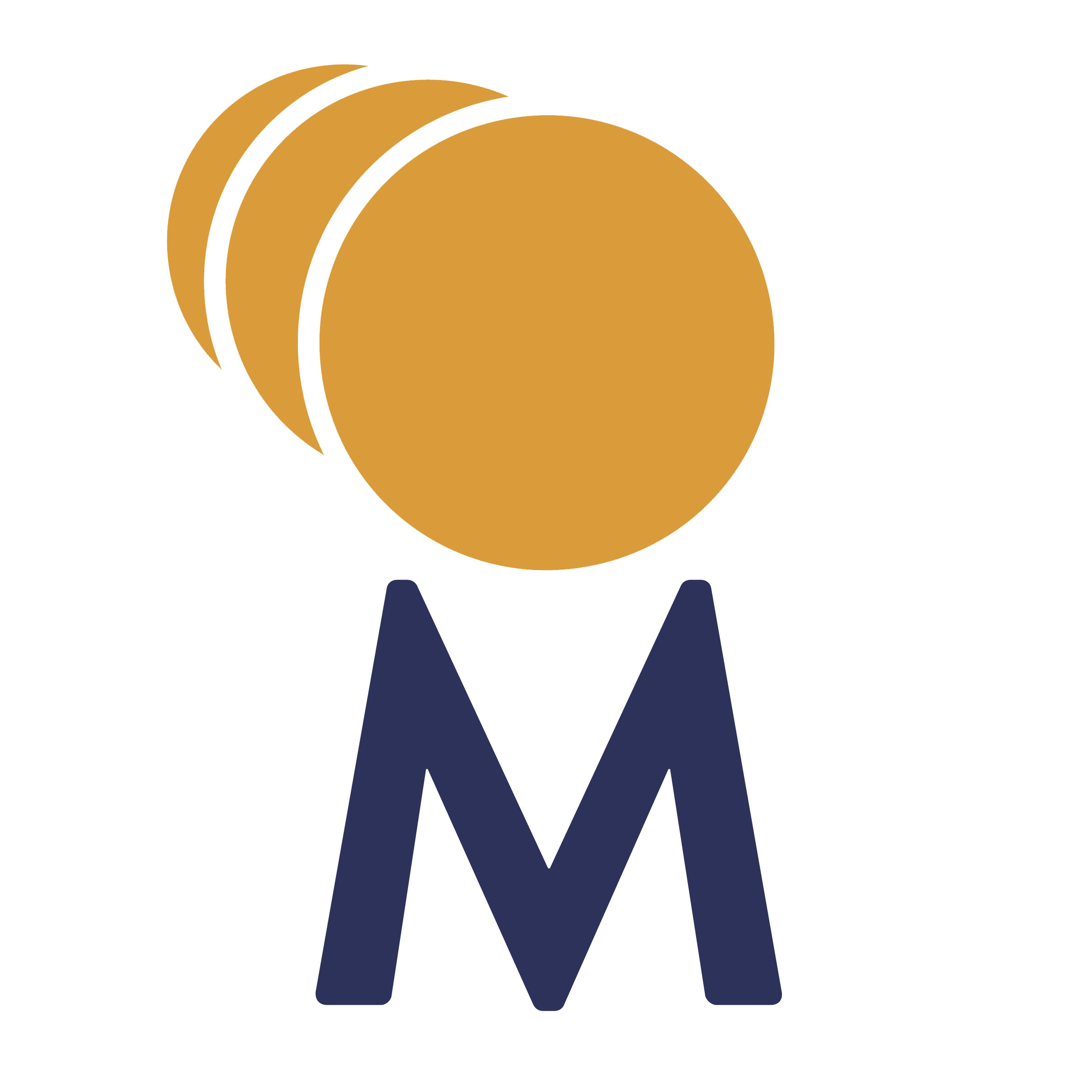 Momentum Consulting logo