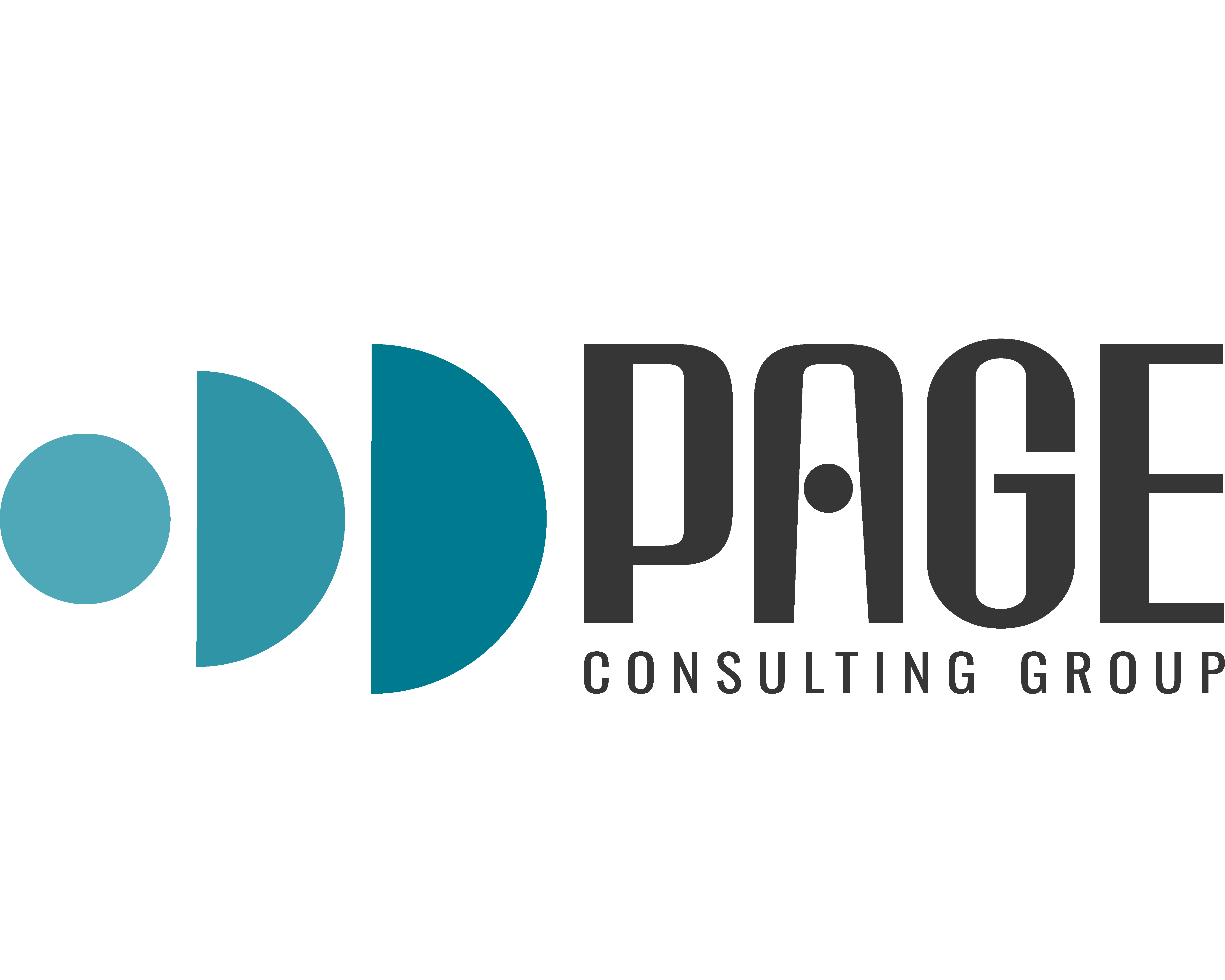 Page Consulting LLC logo